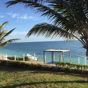 Meet your Posher, Connie